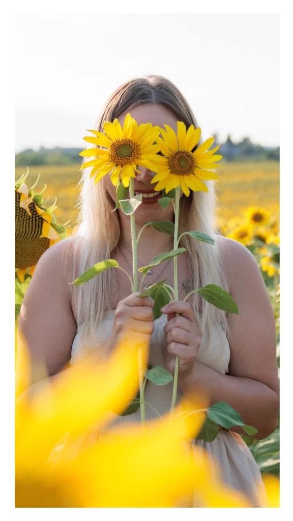 Photo portrait champ tournesol