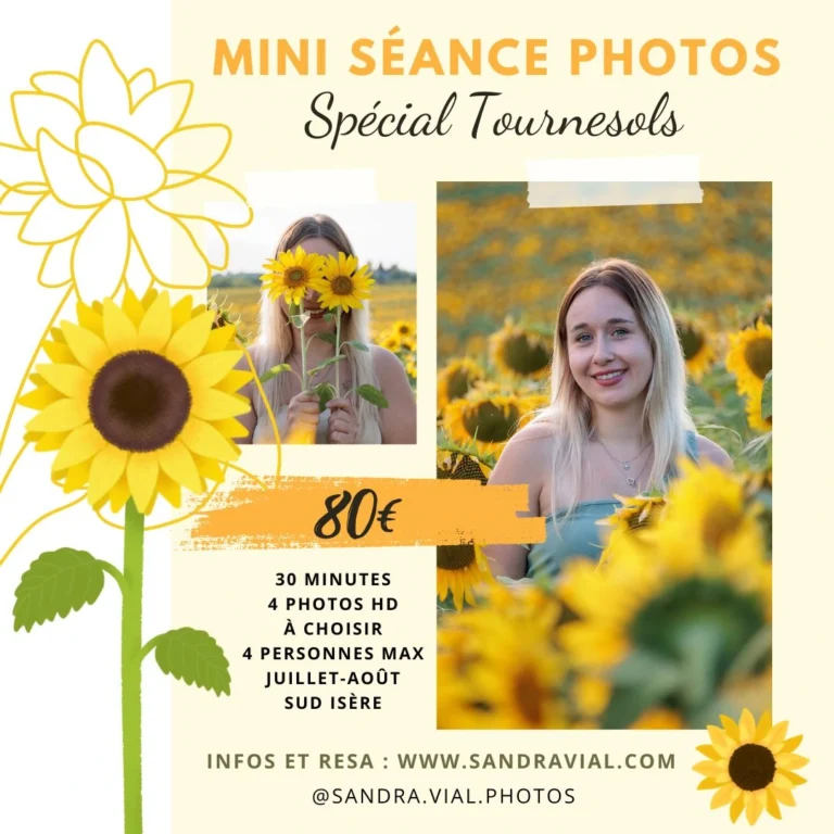 Séance photo tournesol en Isère
