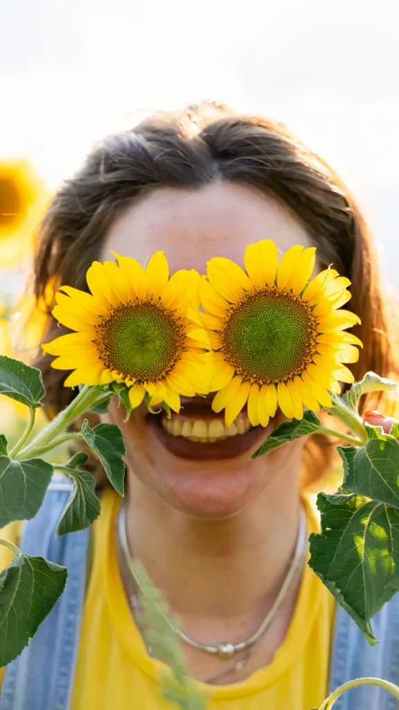 tournesols en guise de lunettes