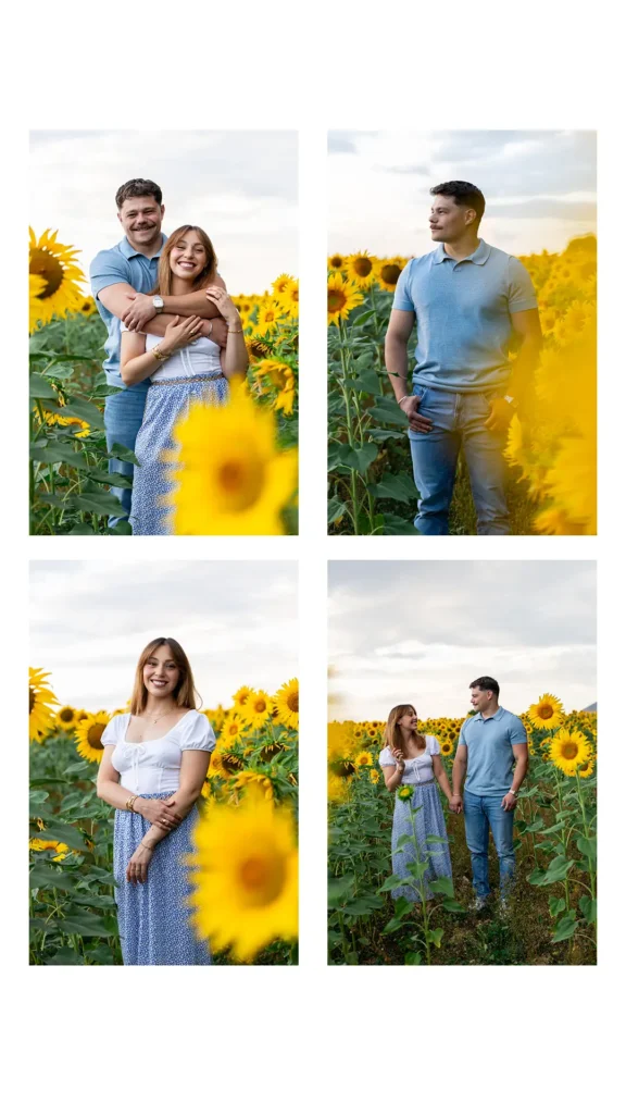 Portrait de couple face à l'objectif dans un champ de tournesols