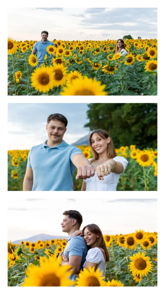 Couple montrant leurs bagues, mains tendues dans un champ de tournesols